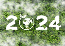 Public Sector Climate Action Mandate 2024