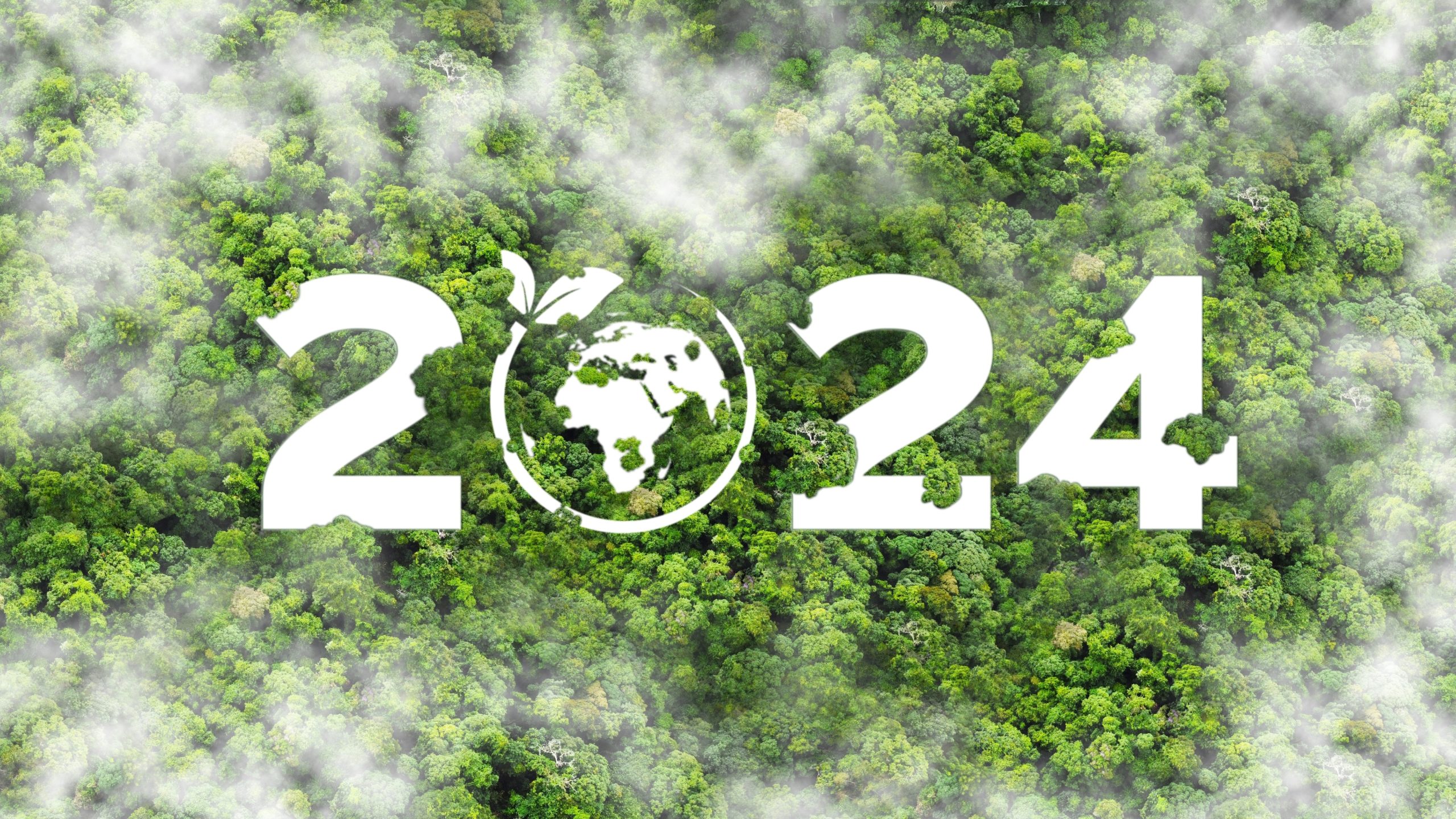 Public Sector Climate Action Mandate 2024